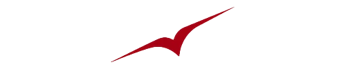 VistaJet