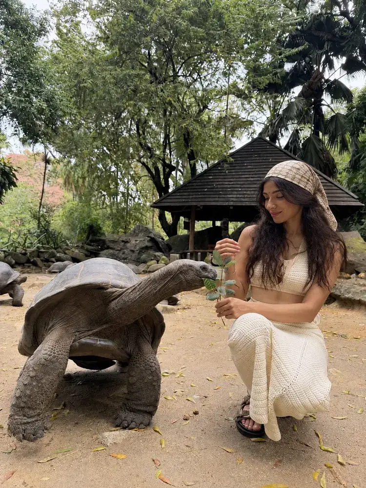 Getting close to the giant tortoises made Seychelles truly special.